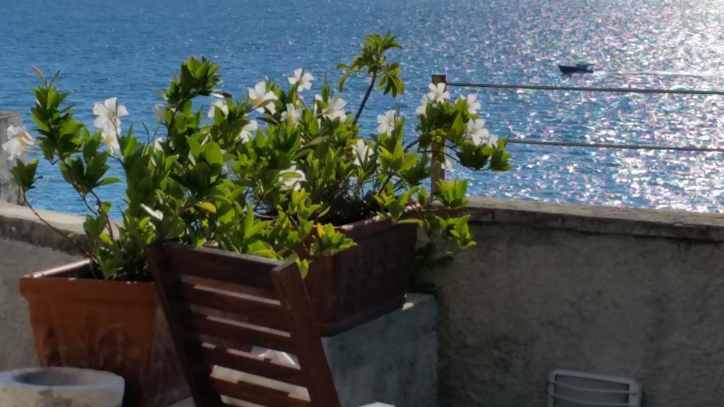 テッラロ Le Sirene Bed & Breakfast エクステリア 写真